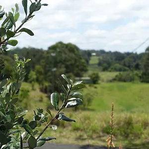 Winston Australia